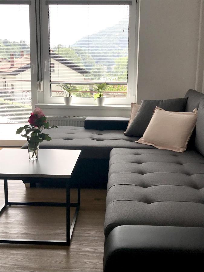 Apartment Loyd, Tolmin - מוסט נה סוסי מראה חיצוני תמונה