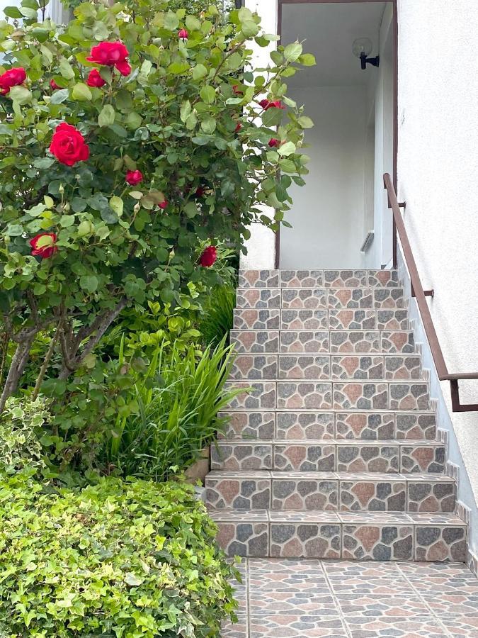 Apartment Loyd, Tolmin - מוסט נה סוסי מראה חיצוני תמונה